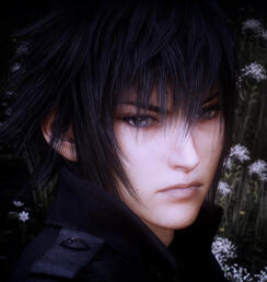 Noctis Lucis Caelum
